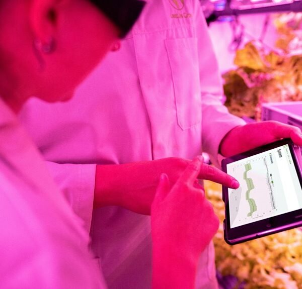 Maximize Your Growth 636125431 Digital Tools